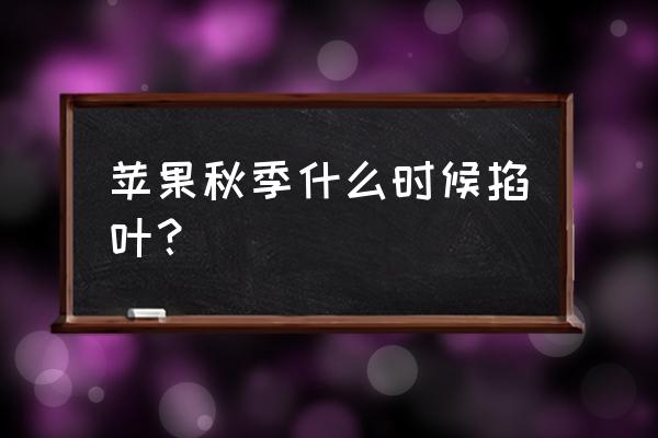 大苹果的叶子钩织方法 苹果秋季什么时候掐叶？