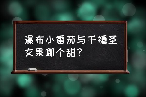 千禧圣女果一般一天适合吃多少 瀑布小番茄与千禧圣女果哪个甜？