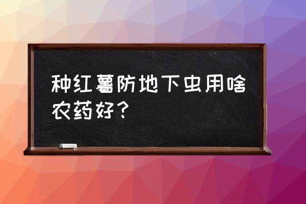 红薯专用农药 种红薯防地下虫用啥农药好？