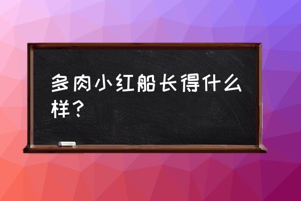 什么软件拍照看什么多肉 多肉小红船长得什么样？