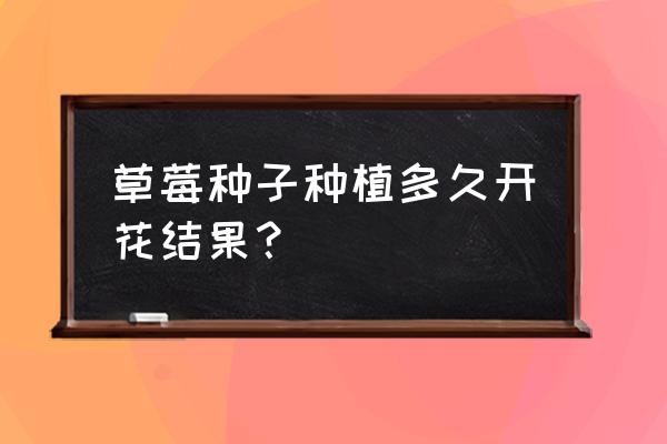 草莓约聊天可以赚钱吗 草莓种子种植多久开花结果？