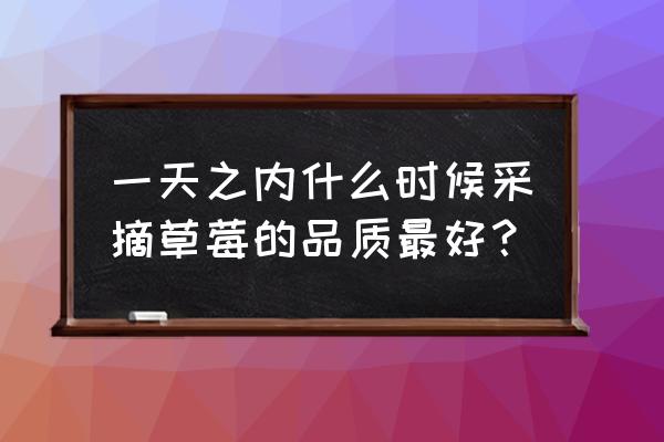 最佳采摘时间表 一天之内什么时候采摘草莓的品质最好？