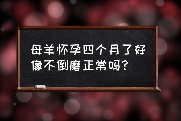 羊了个羊第四关通关攻略介绍 母羊怀孕四个月了好像不倒磨正常吗？