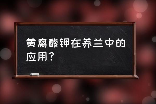 矿源黄腐酸钾什么时期用最好呢 黄腐酸钾在养兰中的应用？