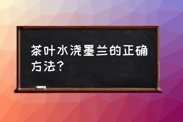 墨兰浇什么水最好 茶叶水浇墨兰的正确方法？