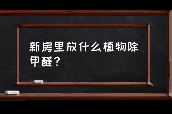 新房装修后如何除甲醛最好 新房里放什么植物除甲醛？