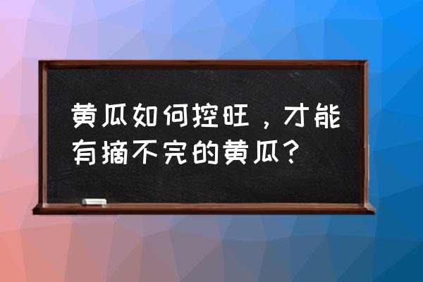 有没有黄瓜的推广码 黄瓜如何控旺，才能有摘不完的黄瓜？