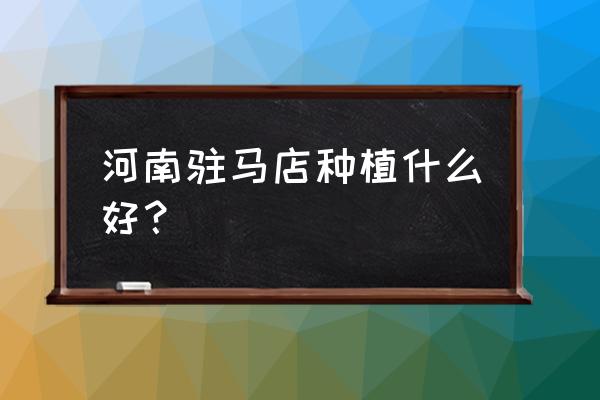 白花蛇舌草种子怎么播种 河南驻马店种植什么好？