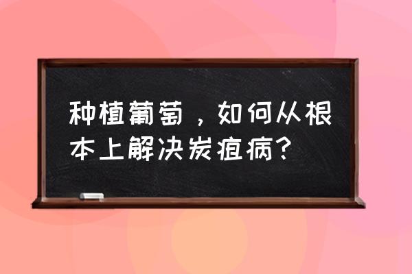 如何预防炭疽病有什么好方法 种植葡萄，如何从根本上解决炭疽病？