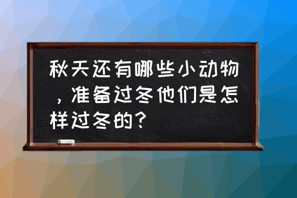 秋天多吃什么菜最好 秋天还有哪些小动物，准备过冬他们是怎样过冬的？