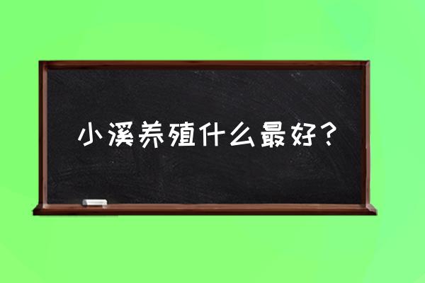 南方山沟溪水养鱼好吗 小溪养殖什么最好？