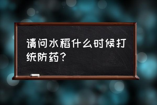 一季晚稻病虫害防治时间表 请问水稻什么时候打统防药？