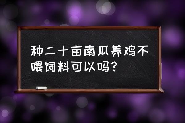 鸡吃南瓜有什么好处 种二十亩南瓜养鸡不喂饲料可以吗？