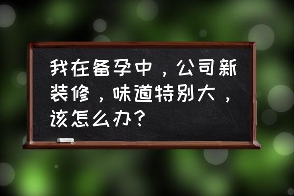 办公室装修最大的污染 我在备孕中，公司新装修，味道特别大，该怎么办？