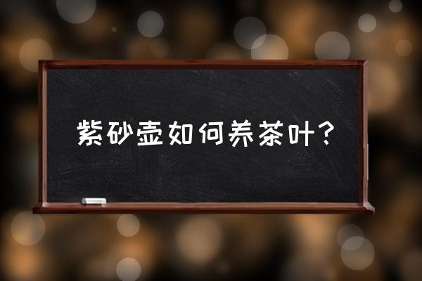 最快的养茶壶方法 紫砂壶如何养茶叶？