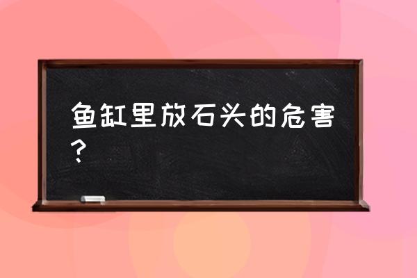 砭石对人有什么好处和坏处 鱼缸里放石头的危害？