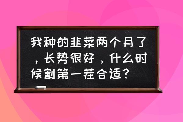 藕的留种方法和技巧 我种的韭菜两个月了，长势很好，什么时候割第一茬合适？