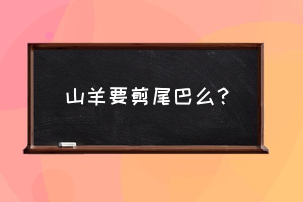 绵羊50斤能断尾吗 山羊要剪尾巴么？