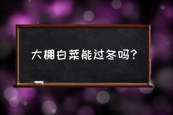 什么牌子的过冬白菜好吃 大棚白菜能过冬吗？