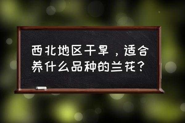 兰花要怎么养才能不死 西北地区干旱，适合养什么品种的兰花？