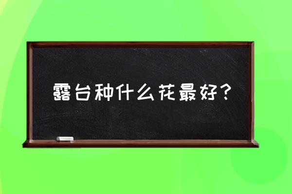 南方楼顶种什么花最好 露台种什么花最好？