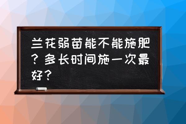 菜籽饼没有发酵放在树根上 兰花弱苗能不能施肥？多长时间施一次最好？