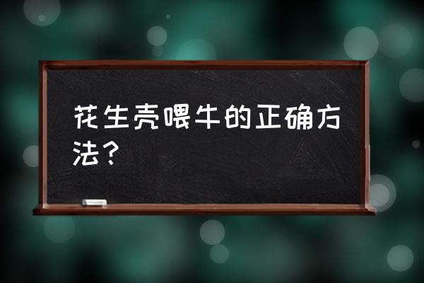 发酵饲料喂牛效果怎么样 花生壳喂牛的正确方法？