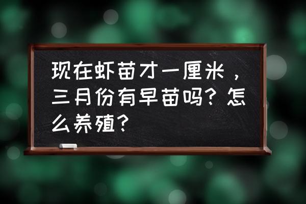 放虾苗前需要肥水吗 现在虾苗才一厘米，三月份有早苗吗？怎么养殖？