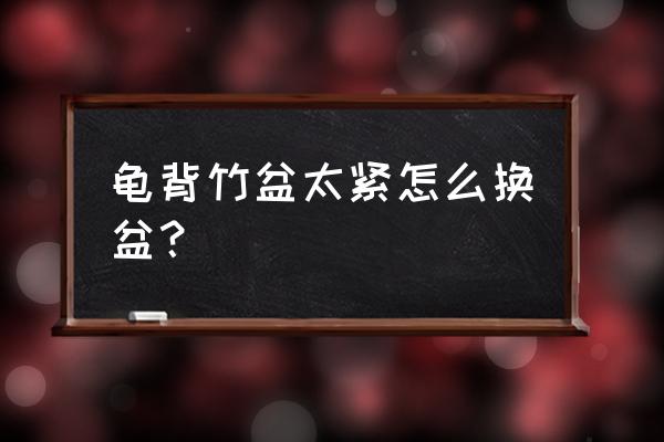 龟背竹换盆需要注意什么细节 龟背竹盆太紧怎么换盆？