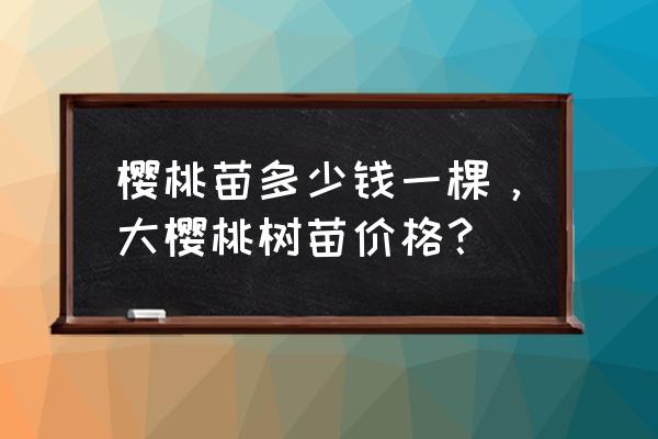 网上买的樱桃树苗 樱桃苗多少钱一棵，大樱桃树苗价格？